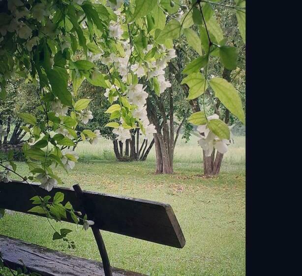 膳宿费 Maison Blanche