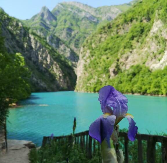 호스텔 Riverside Komani Lake