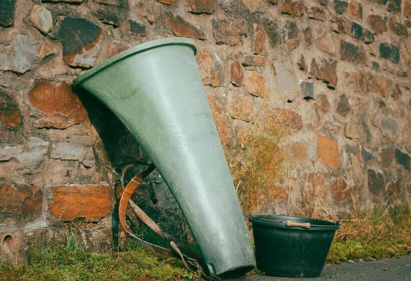 Bed and Breakfast Boutique Guesthouse Das Wohlgemuth Heim Mosel Weingut