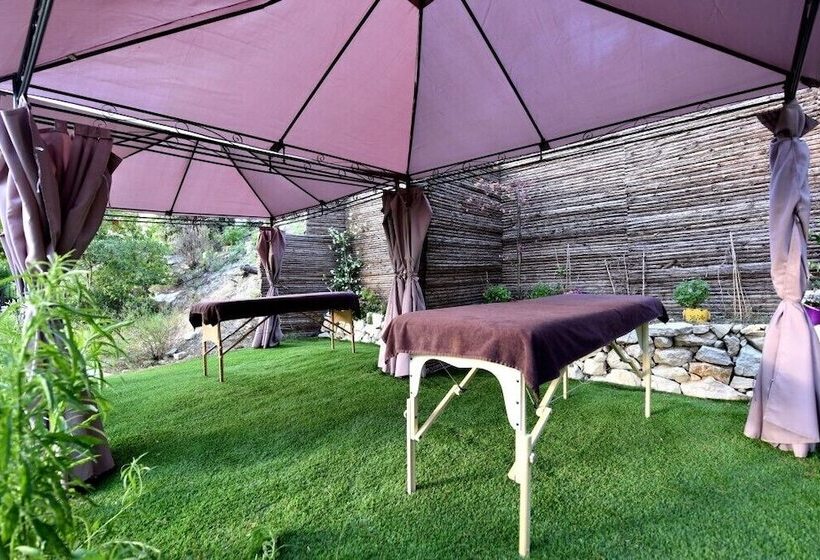 住宿加早餐  Harmonice