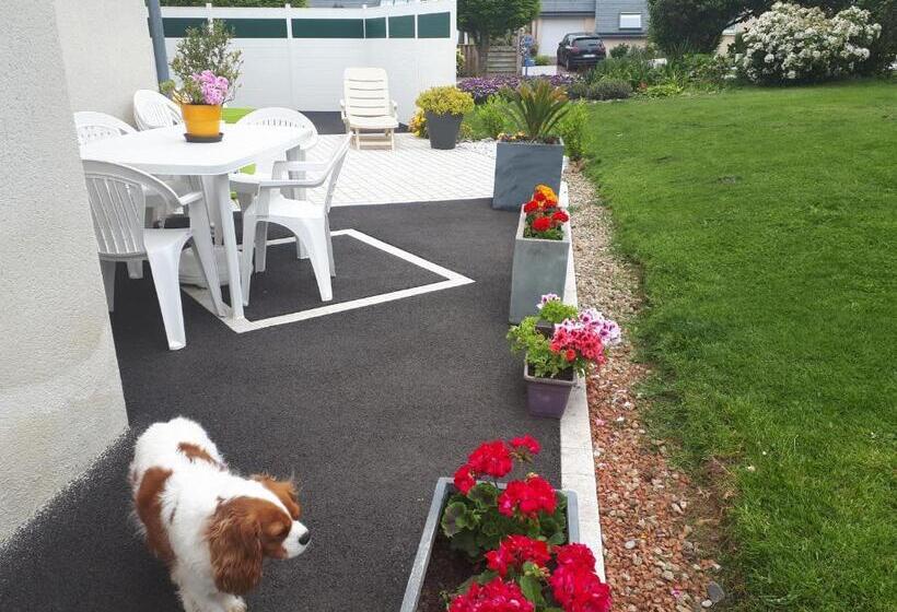 Bed and Breakfast Macareux