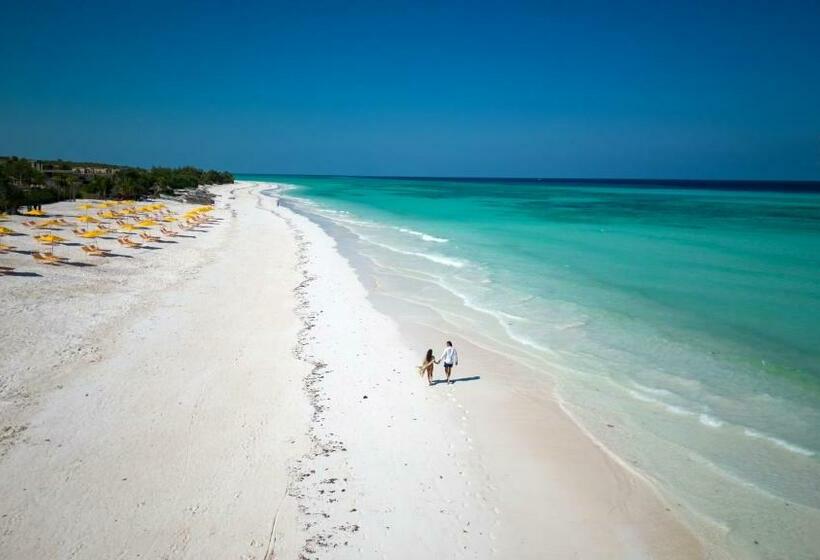 渡假胜地 The Mora Zanzibar Luxury All Inclusive