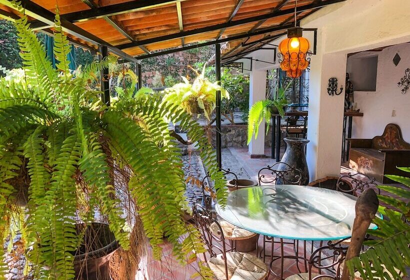 فنادق الكبسولة Casa Aurora