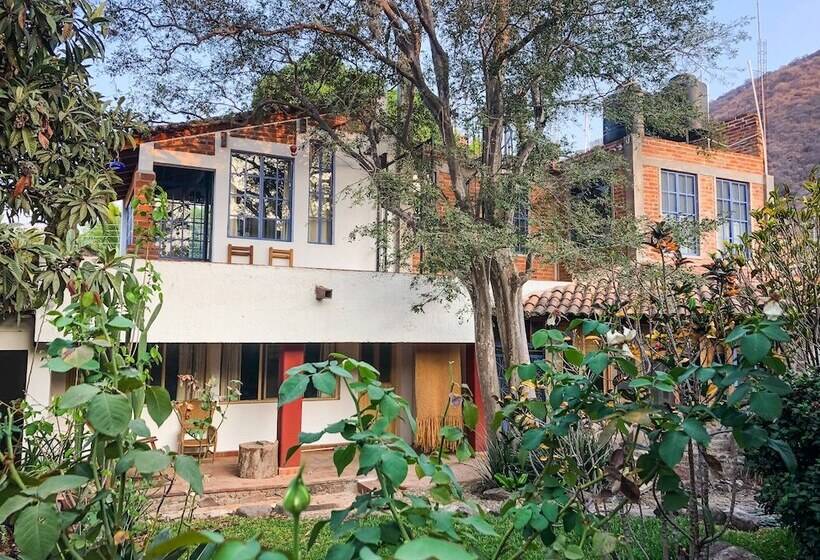 فنادق الكبسولة Casa Aurora