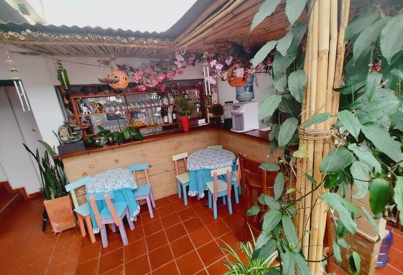 Sanmiguelavilla Hotels Vdl