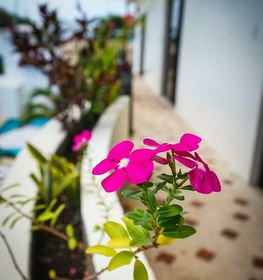 호텔 Stella Maris Tulum