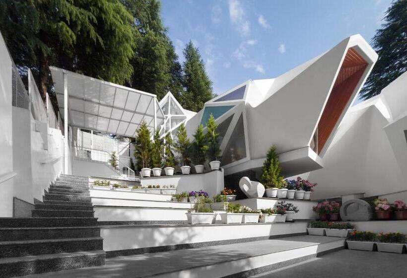 Tree Of Life Eila Art Hotel, Manali