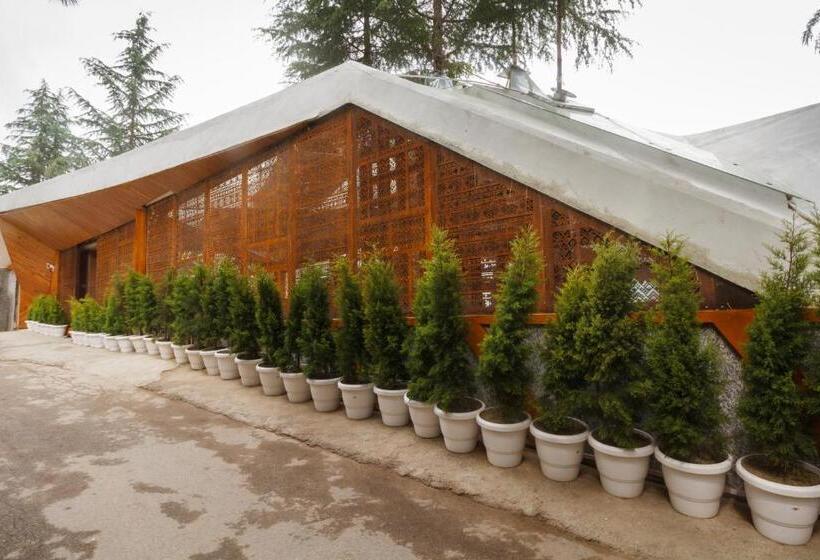 Tree Of Life Eila Art Hotel, Manali