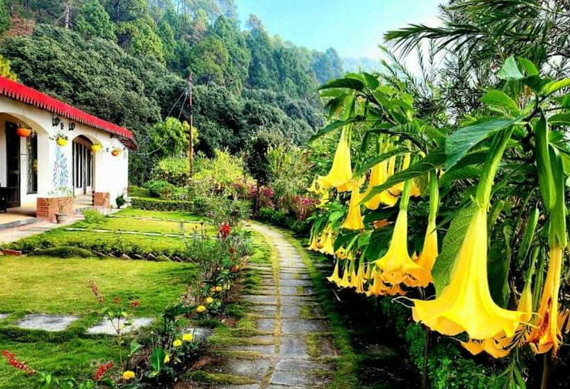 Just Naturals Wellness Resort Nainital