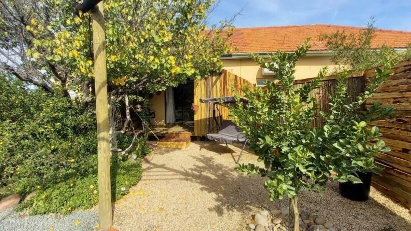 פנסיון Mitat Guesthouse