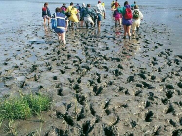 Pension Restaurant Pizzeria Lion