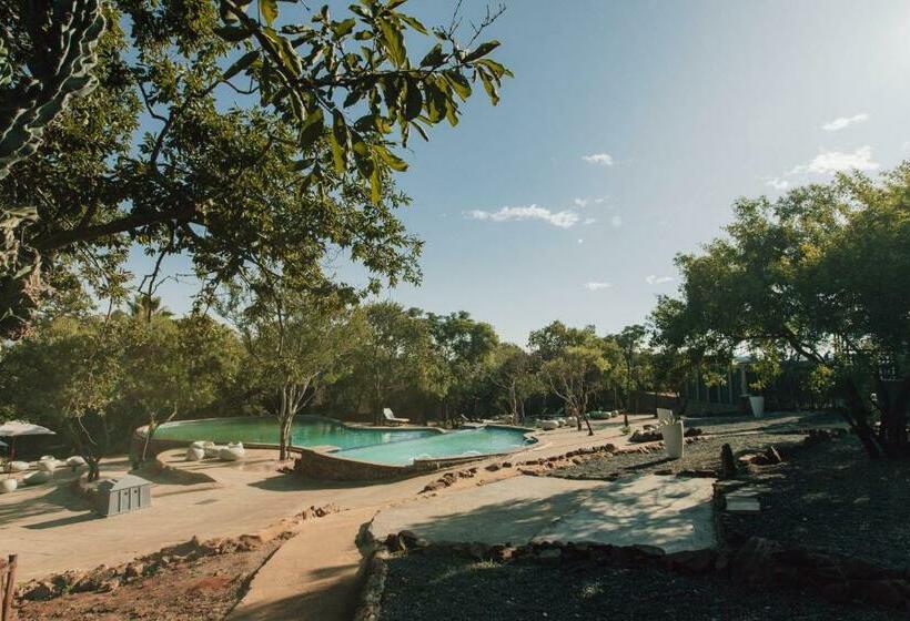 リゾートホテル Pecan Bush Lodge