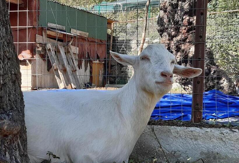 צימר Il Girasole