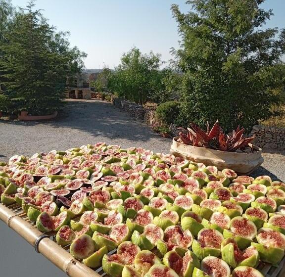 ベッドアンドブレックファースト Oniro Specchia