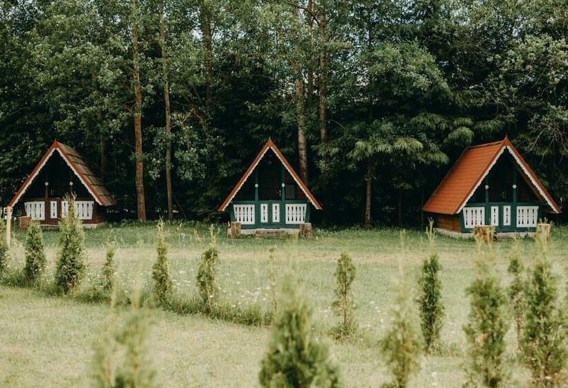 住宿加早餐  Pensiune și Camping Patru   Gheorgheni
