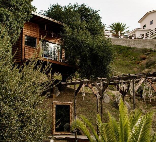 Boskenvid Hotel Boutique, Skypool