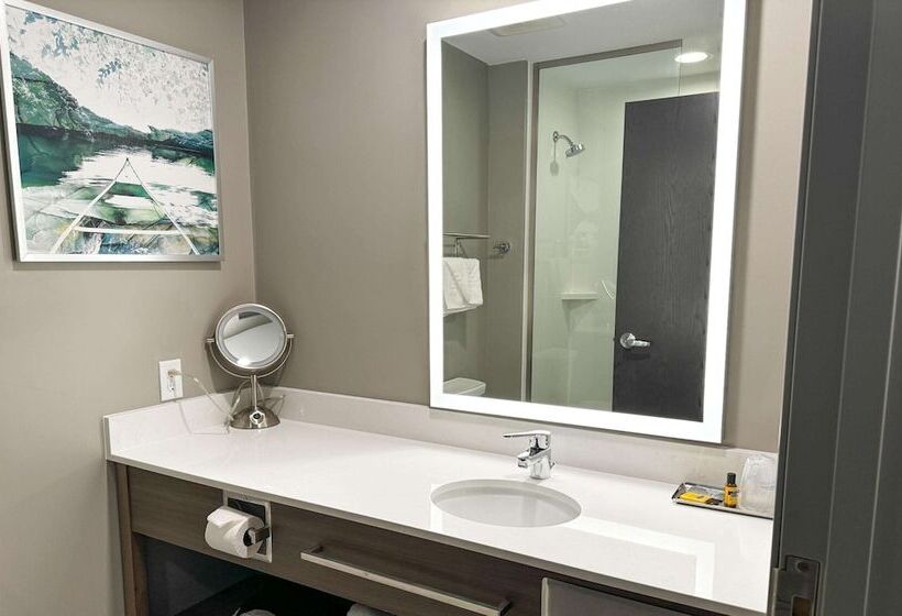 هتل Best Western Plus Grand Rapids Mn