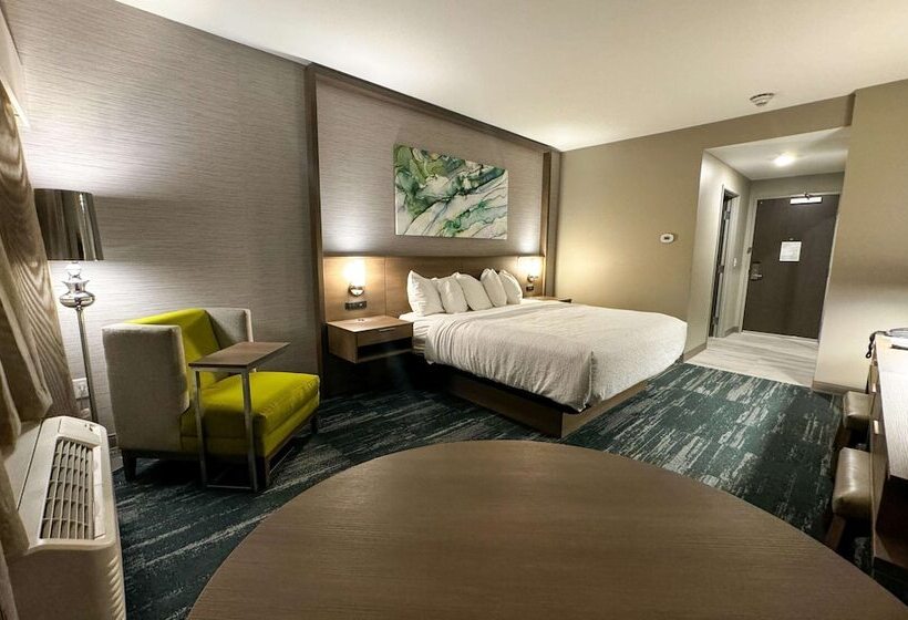 هتل Best Western Plus Grand Rapids Mn