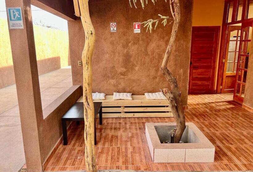 بنسيون Hostal Qachi Chentura