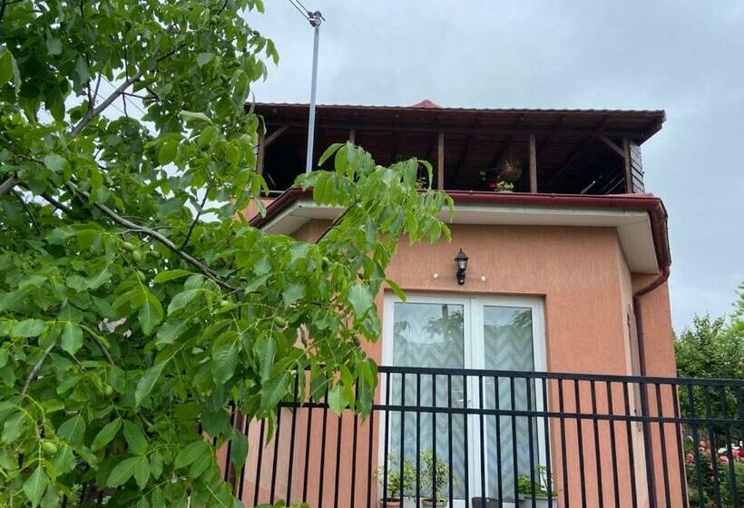 بنسيون La Bilal 2