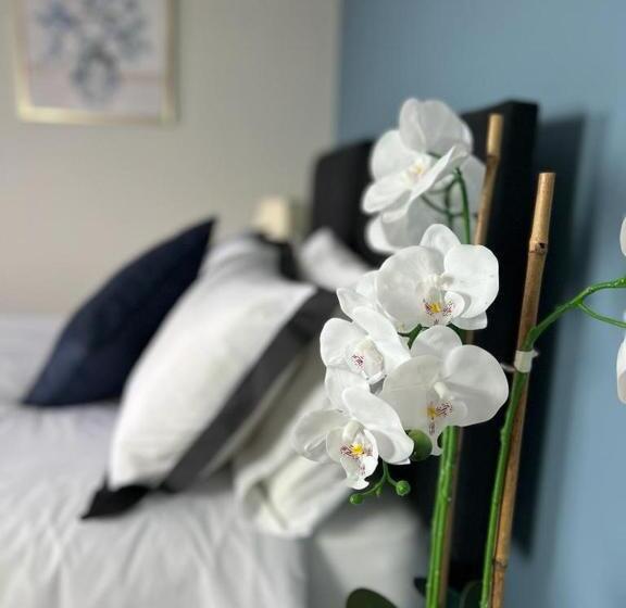 بنسيون Swan Retreat