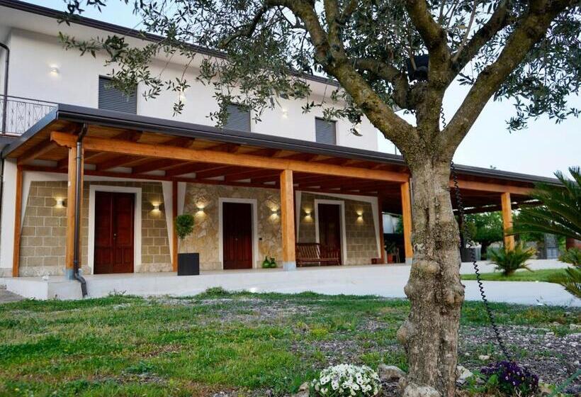 Bed and Breakfast Atomos