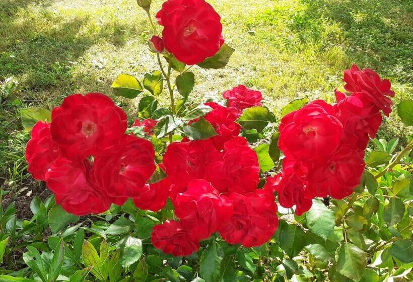 ベッドアンドブレックファースト Le Chêne Aux Oiseaux