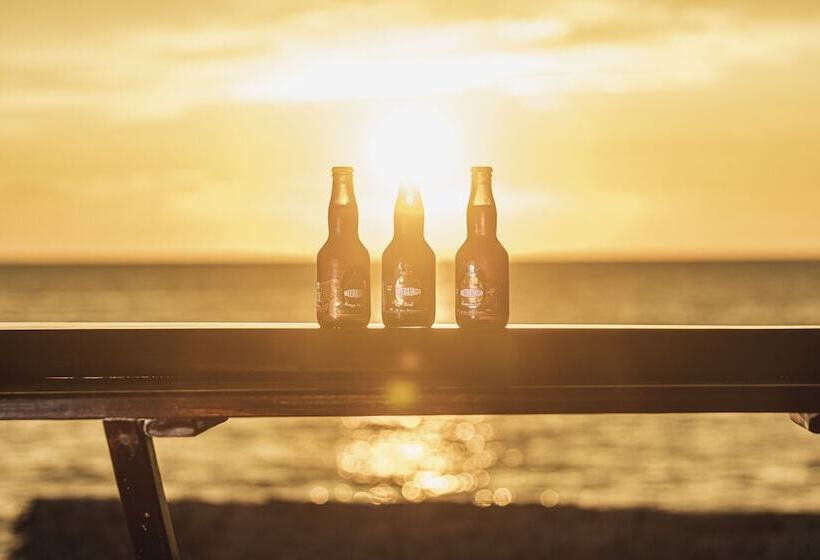 Bed and Breakfast San Alejo Zero