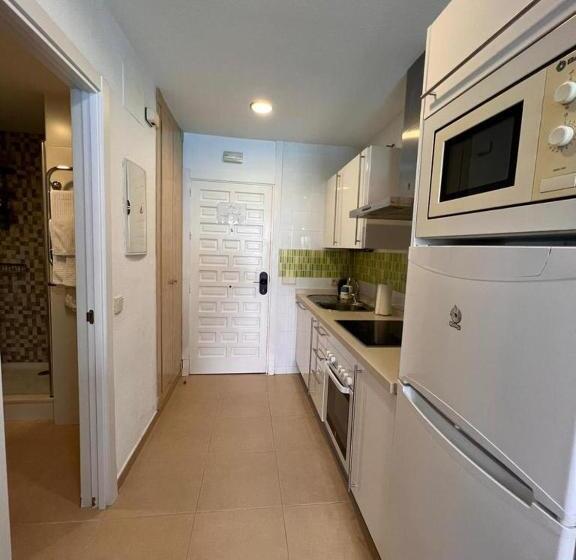 Benalbeach Loft Encatador