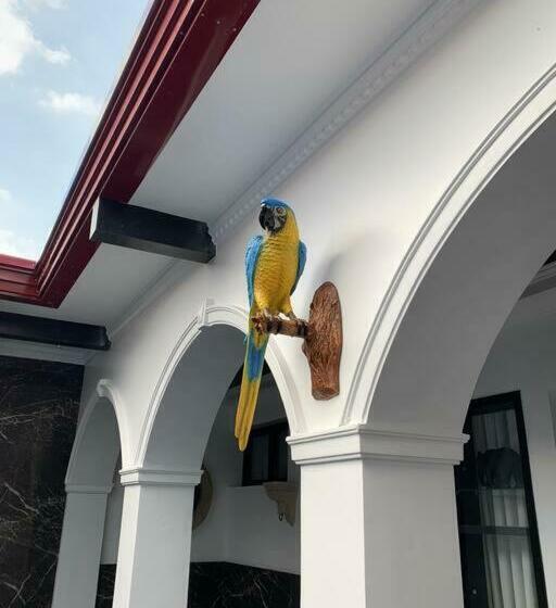 Golden Gorilla Villa With Private Pool & Jacuzzi