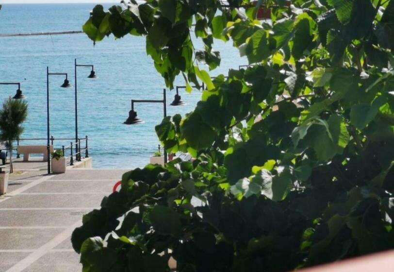 بنسيون Paradise Room