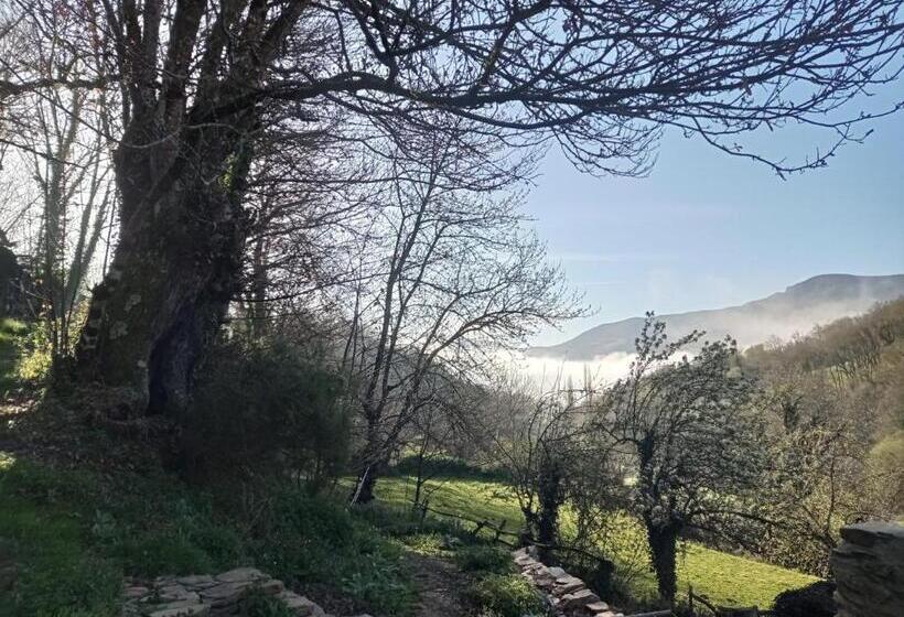 Albergue Eco El Beso   Vegano