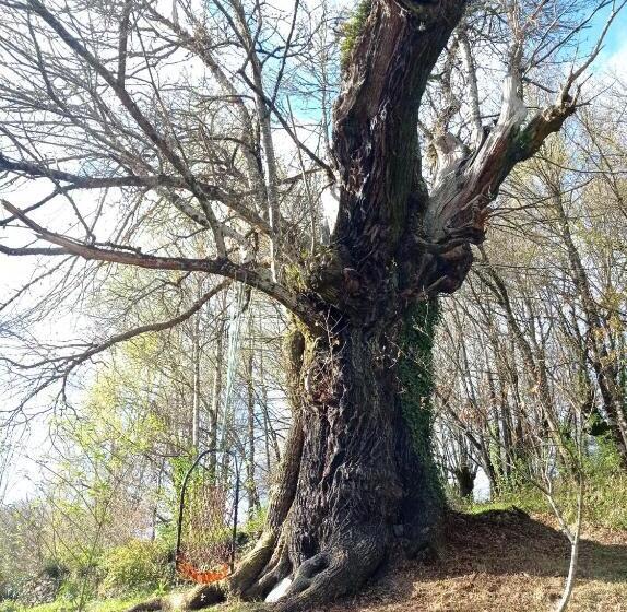 Albergue Eco El Beso   Vegano