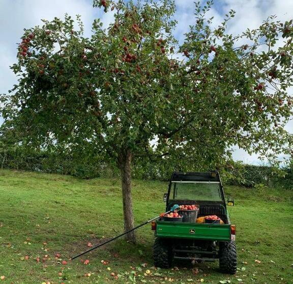 住宿加早餐  De Molenhoeve