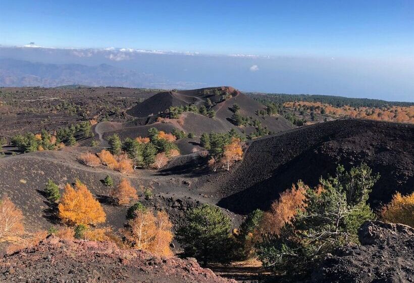Design Apartment With Terrace By Wonderful Italy