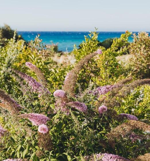 호텔 Casa Paradisu