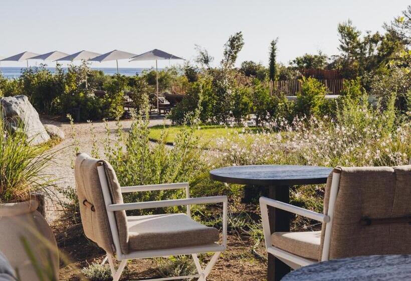 호텔 Casa Paradisu