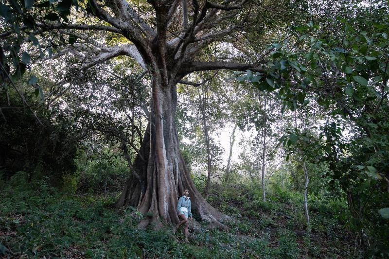 בית מלון כפרי Four Seasons Resort Tamarindo, México