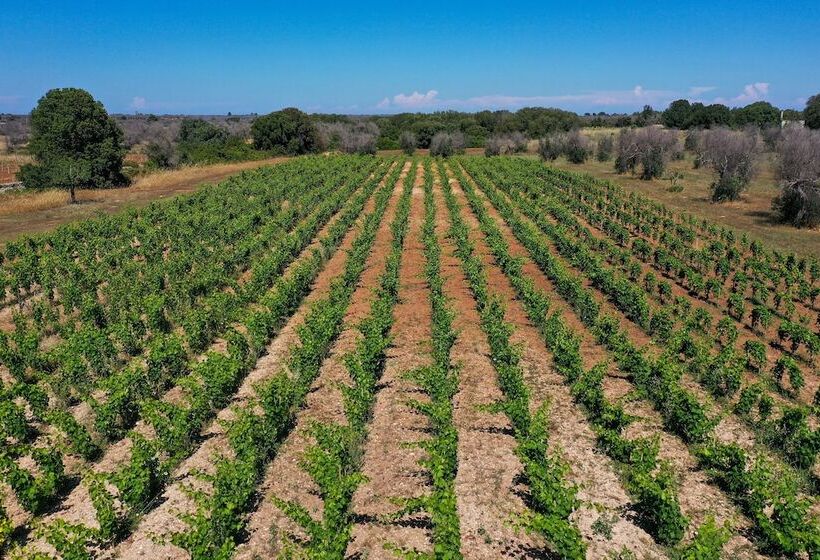 酒店 Masseria Lilei