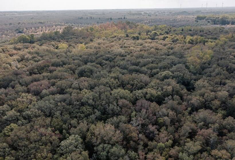 酒店 Masseria Lilei