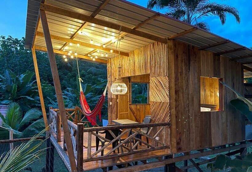 酒店 Tortuga Bay Eco