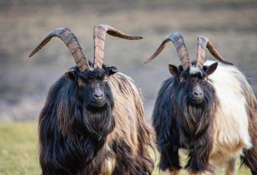 Innes House Bed & Breakfast