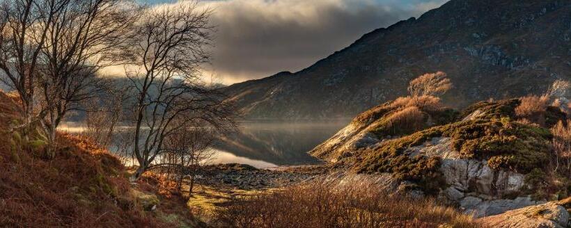 Innes House Bed & Breakfast