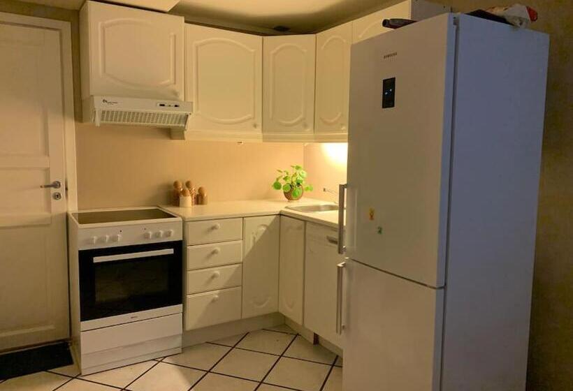 Sentrumsnær Leilighet Med 3 Soverom