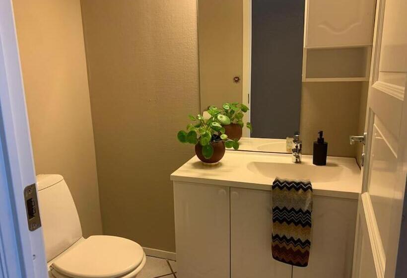 Sentrumsnær Leilighet Med 3 Soverom