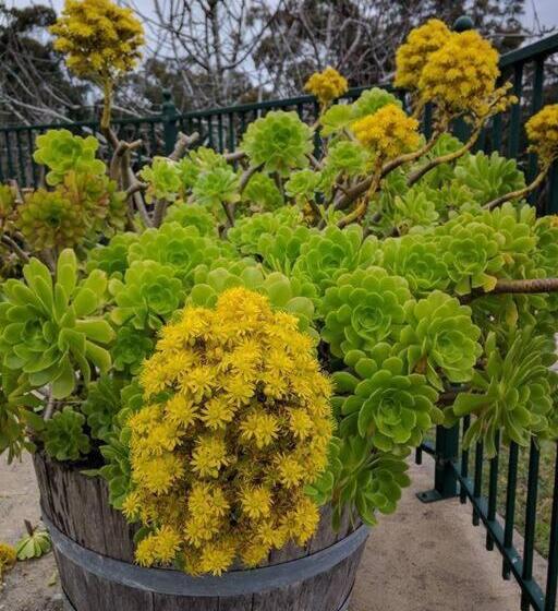 Sunset Hues Enjoy Peace & Nature