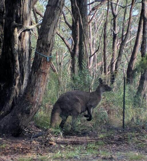 Sunset Hues Enjoy Peace & Nature