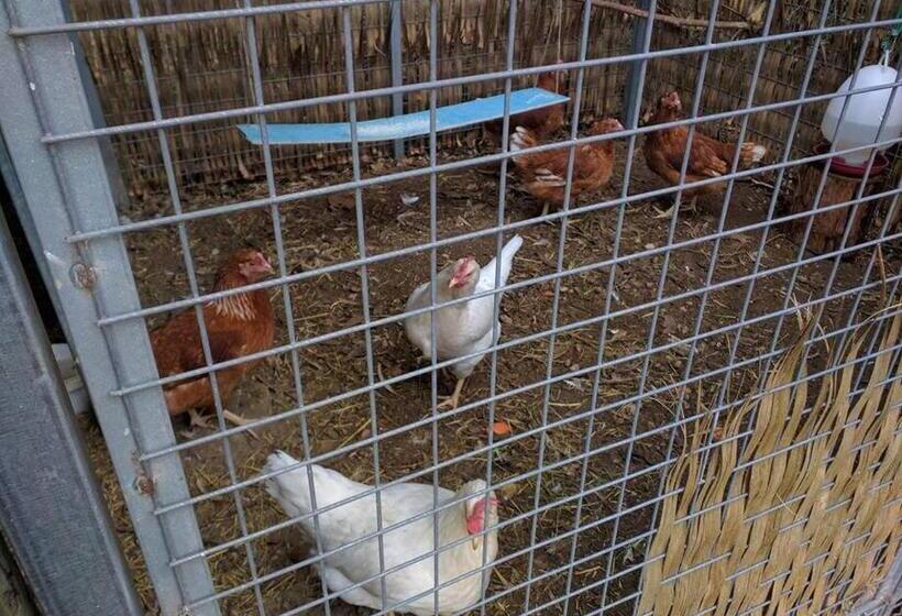 Sunset Hues Enjoy Peace & Nature