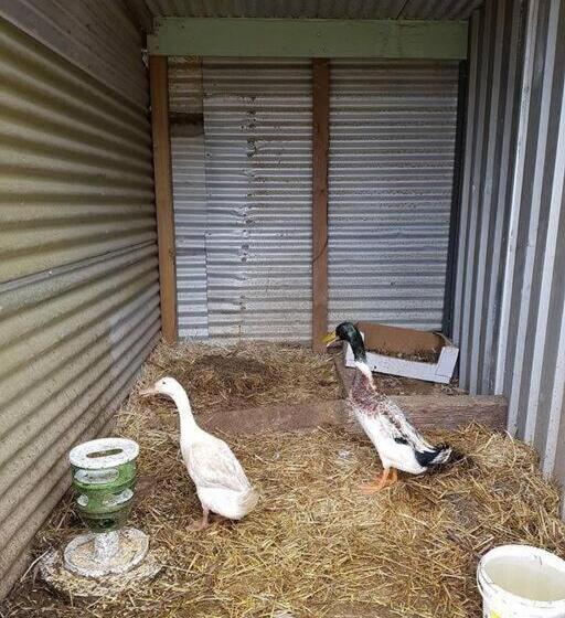 Sunset Hues Enjoy Peace & Nature