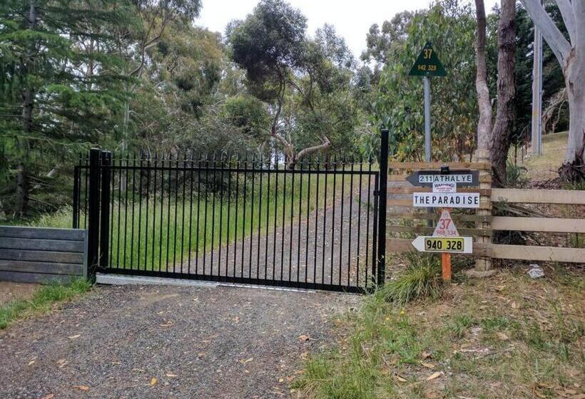 Sunset Hues Enjoy Peace & Nature